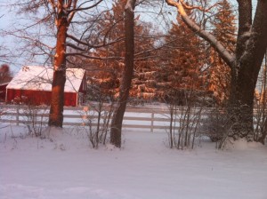 Winter Splendor in Millbrook